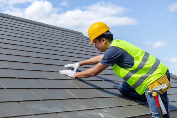 Best Storm Damage Roof Repair  in Donna, TX