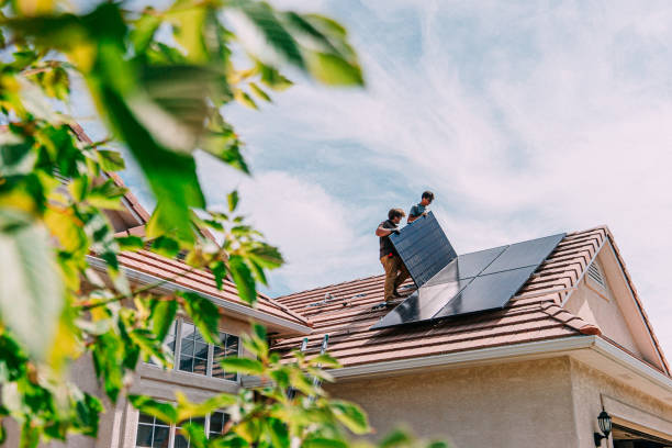 Best Flat Roof Repair Services  in Donna, TX