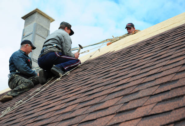 Residential Roof Replacement in Donna, TX